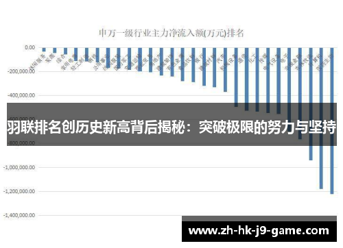 羽联排名创历史新高背后揭秘：突破极限的努力与坚持